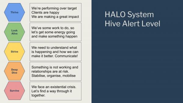 The Hive's Impact Report 2022 - The Hive Change Consultancy Ltd